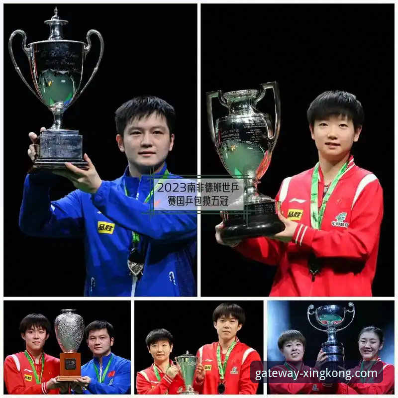 国乒新星卢森堡站夺冠最新动态，星空官网网页版呈现完整赛事数据